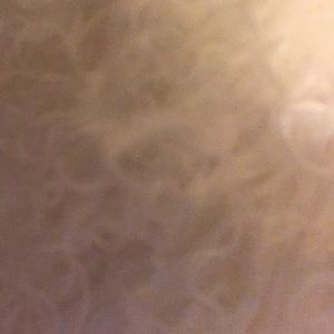 Meet your Posher, Sammie